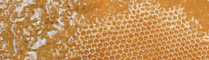 Miele millefiori: tra dolcezza e benessere